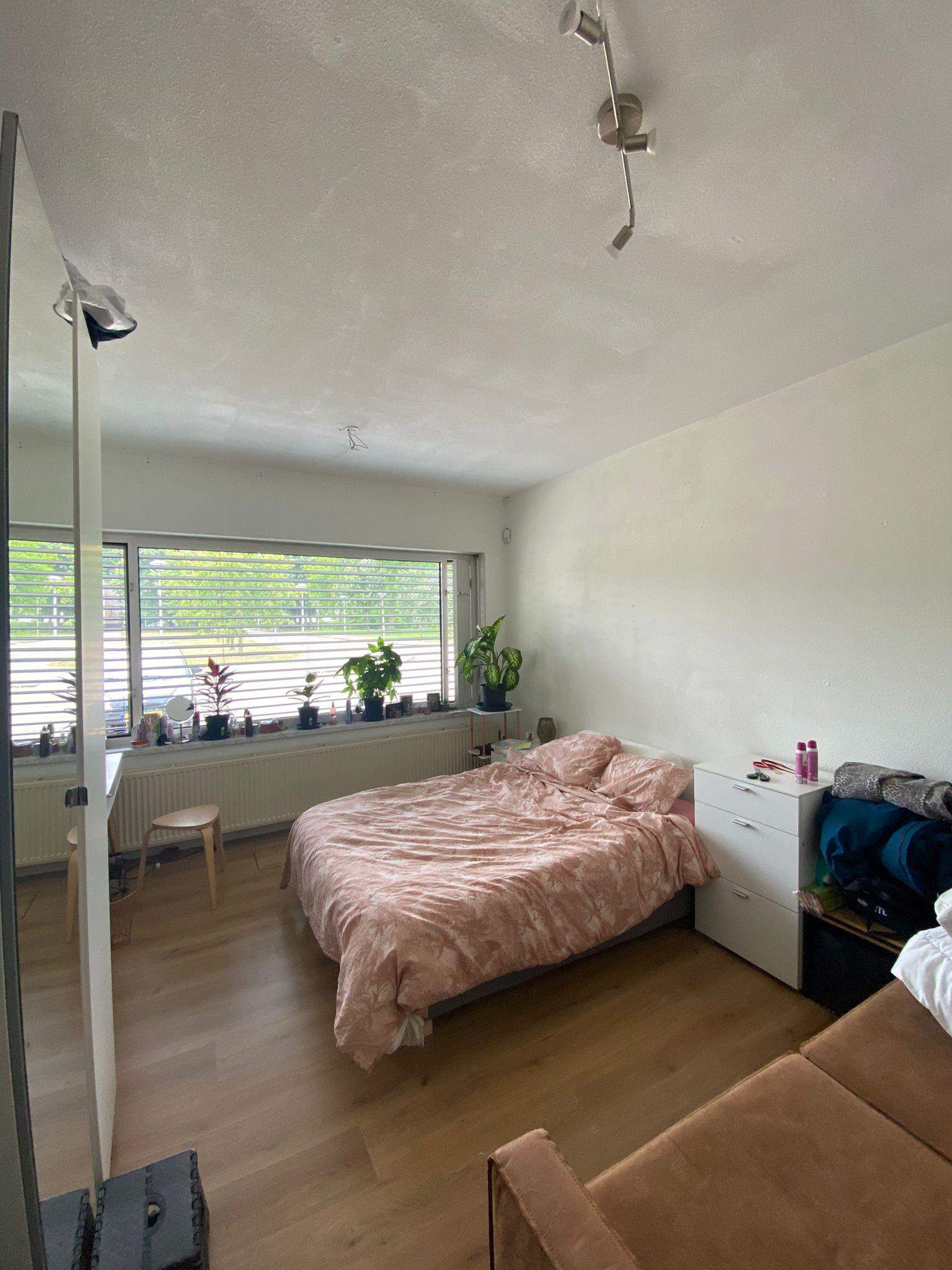 Bild 3 von 9