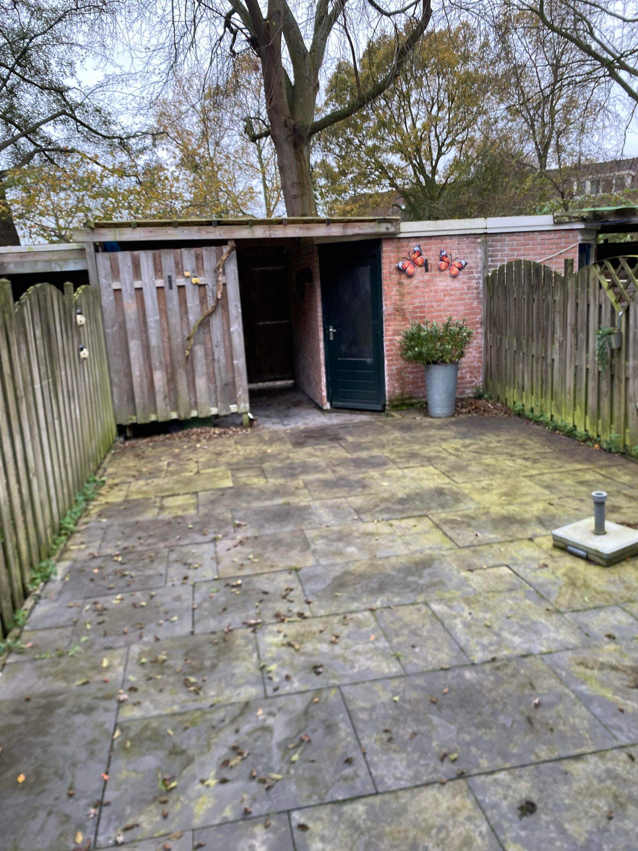 Image 12 of 16