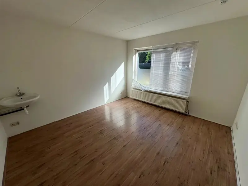 Image 4 of 11