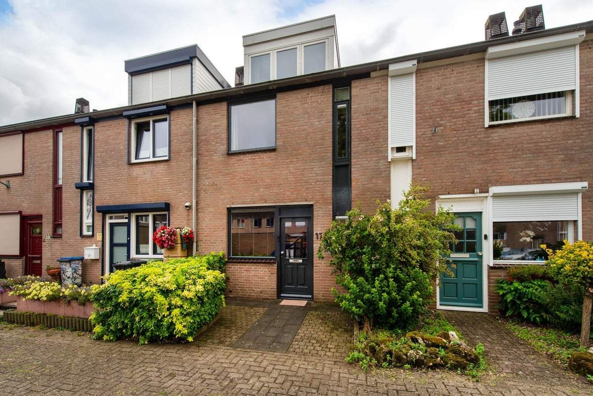 Afbeelding 1 van 24