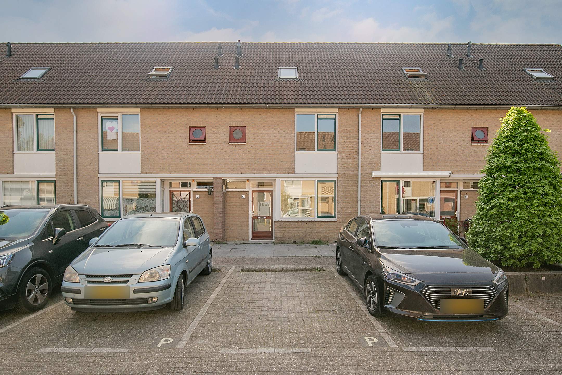 Afbeelding 2 van 19