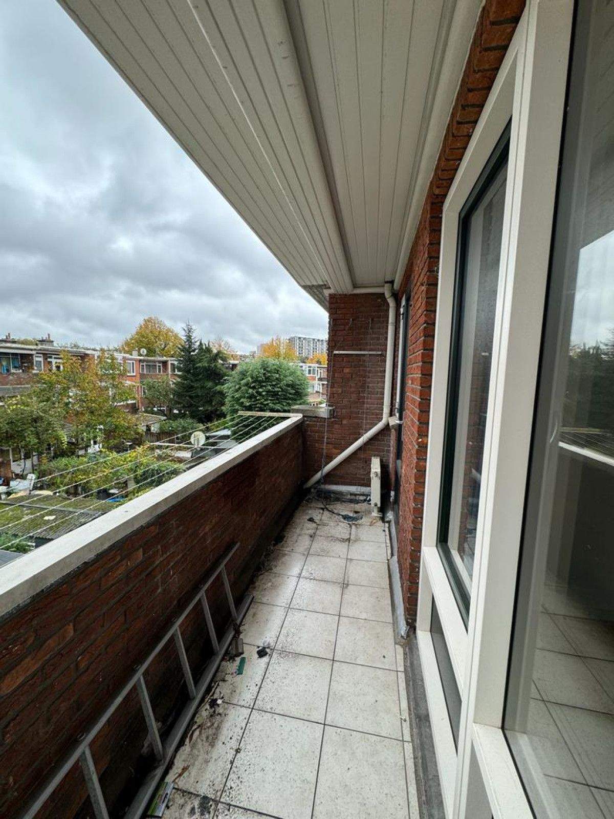 Image 12 of 16