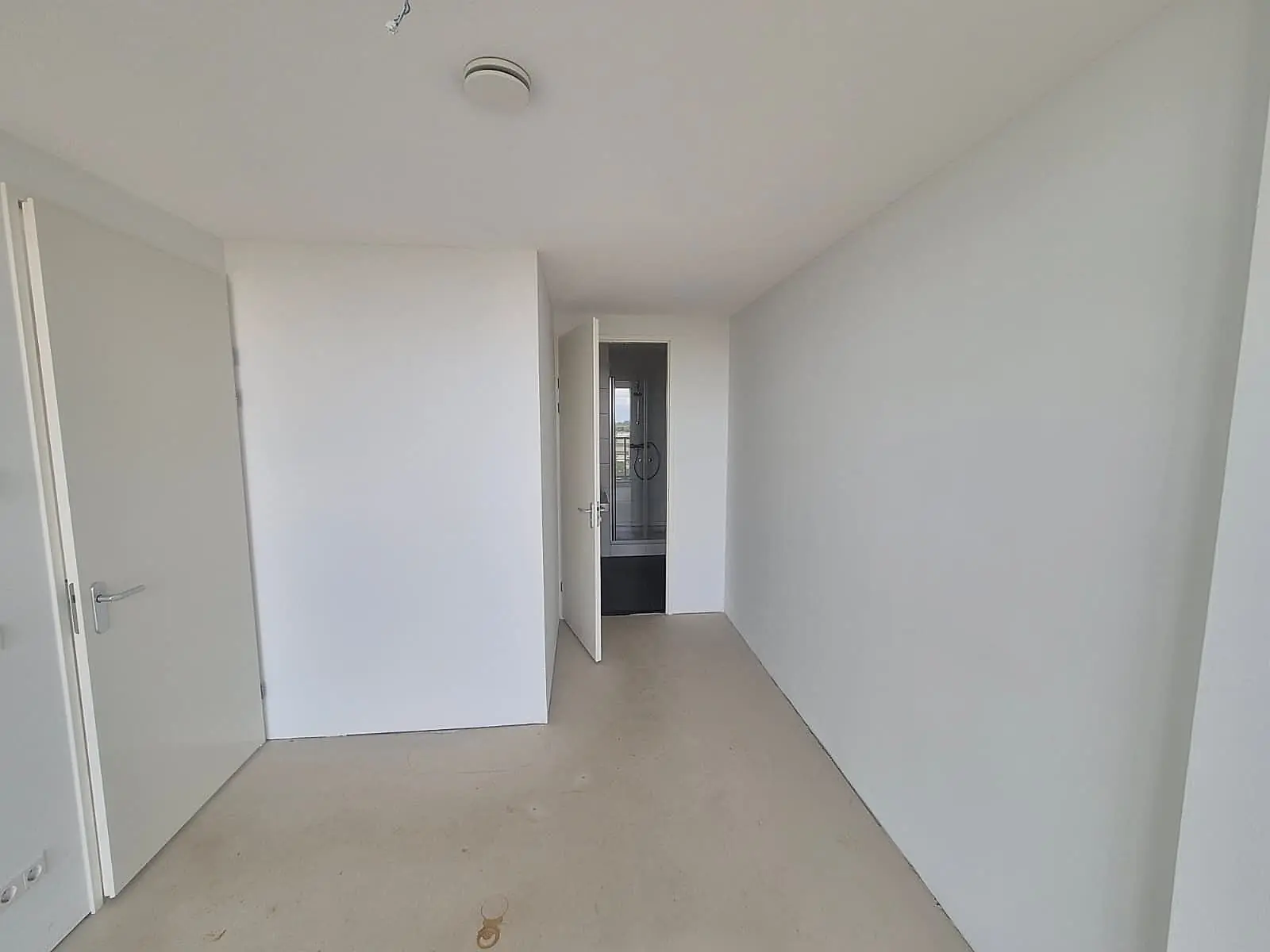 Image 5 of 8