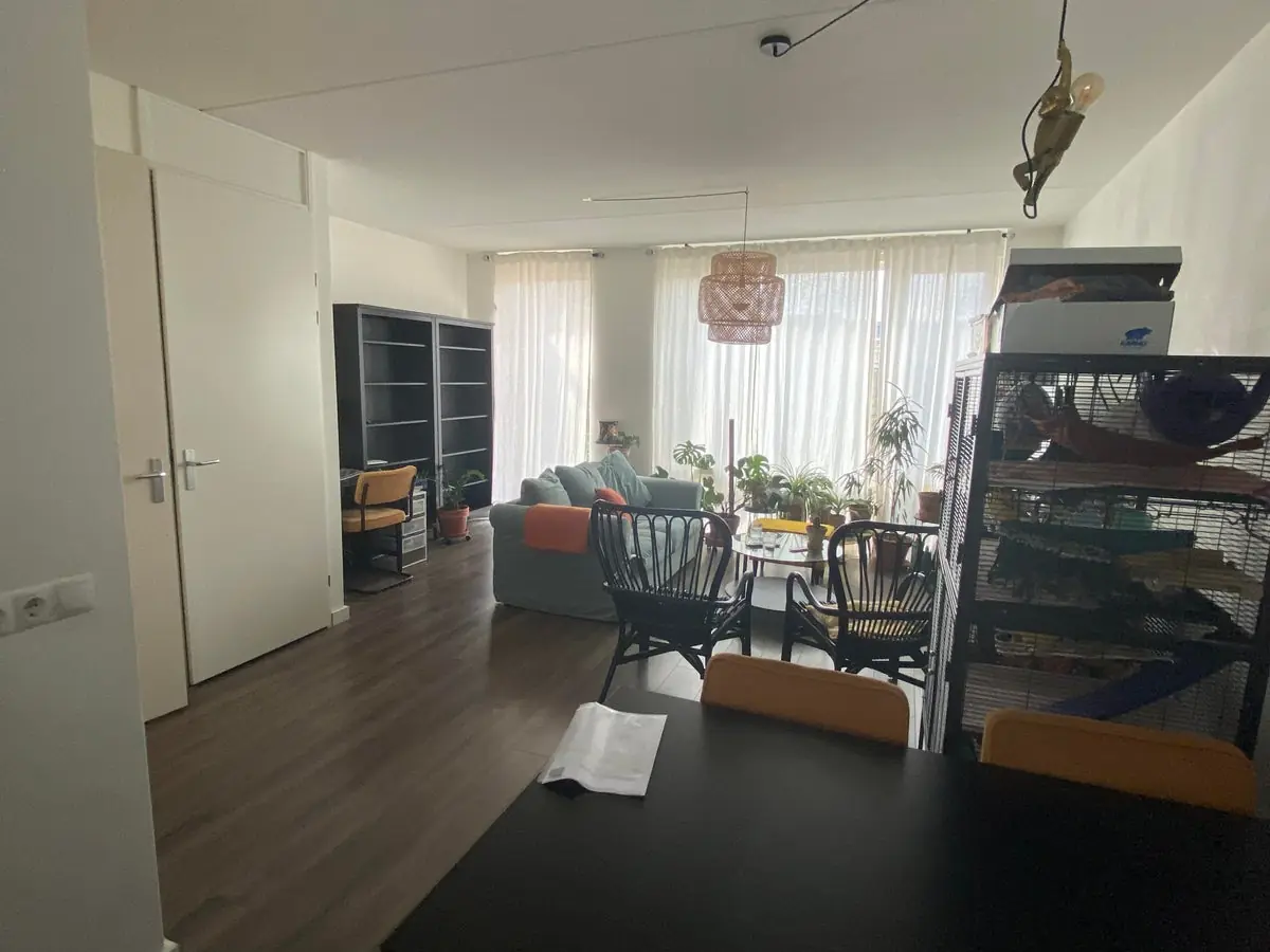 Image 4 of 12