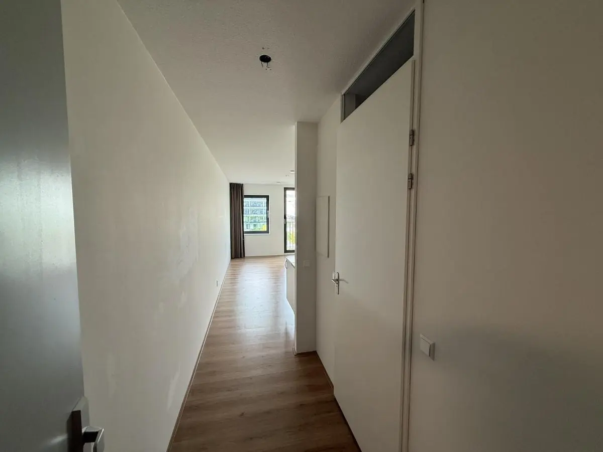 Image 9 of 15