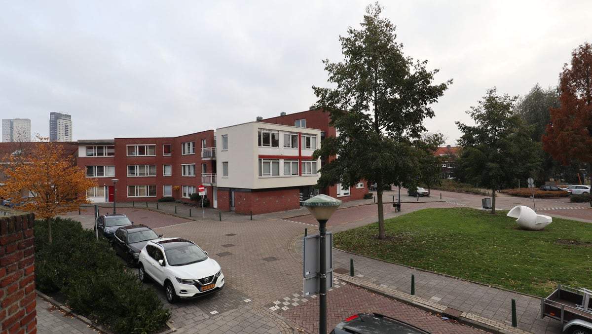 Afbeelding 2 van 13