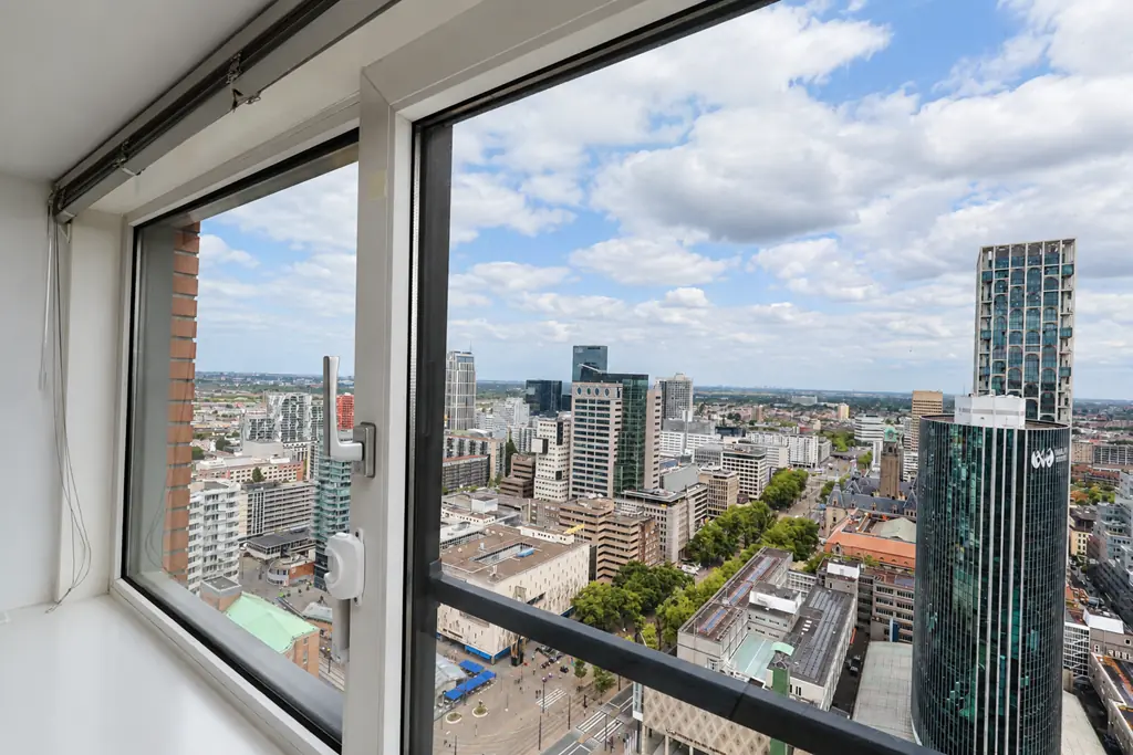 Image 10 of 22