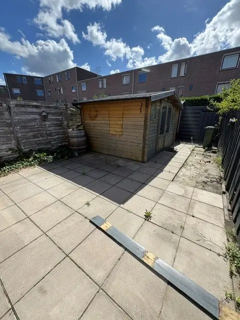 Image 6 of 11
