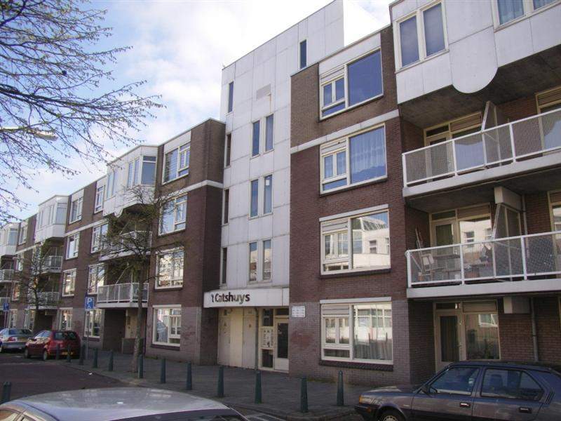 Afbeelding 3 van 20