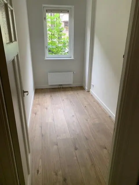 Image 7 of 12