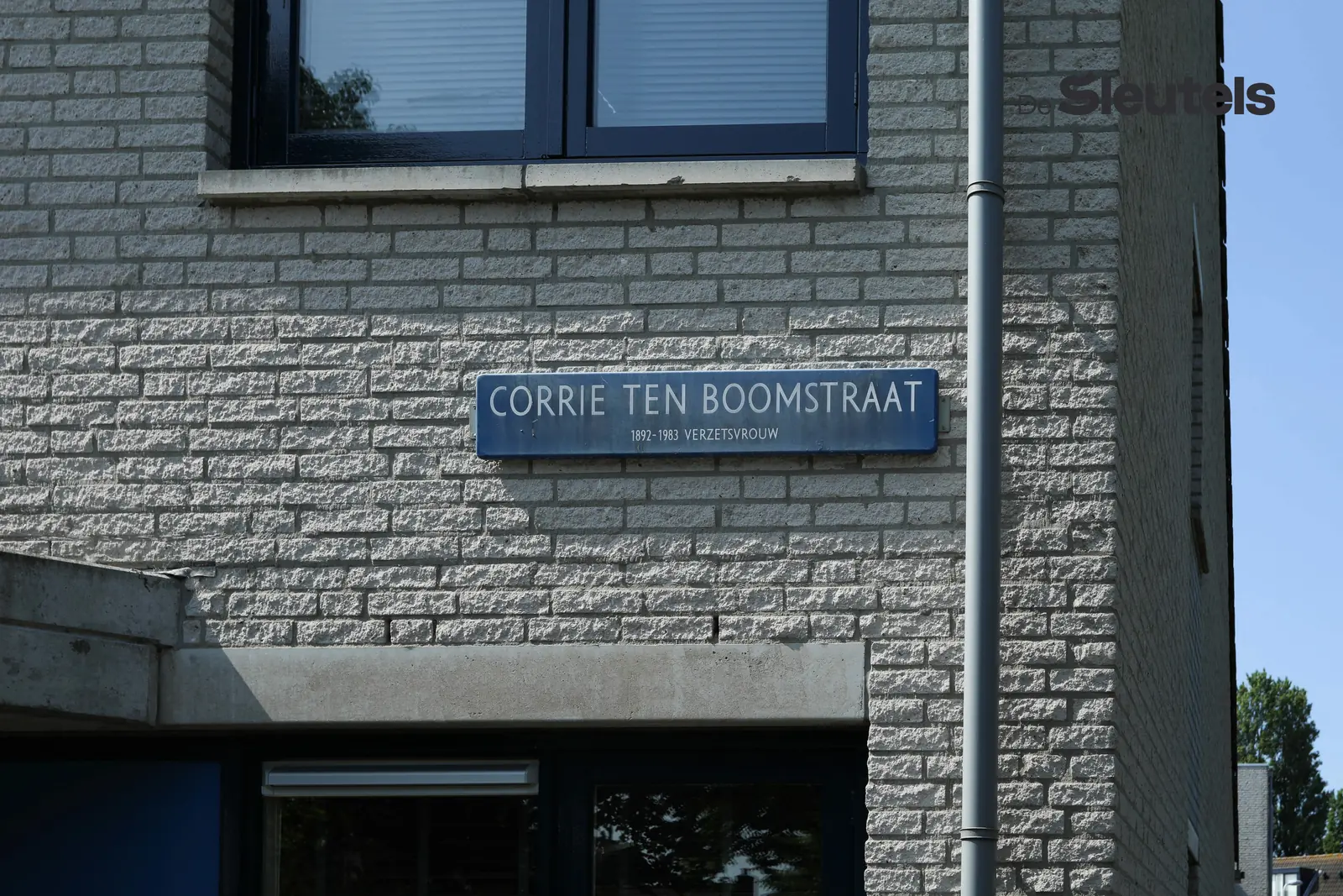 Image 2 of 7