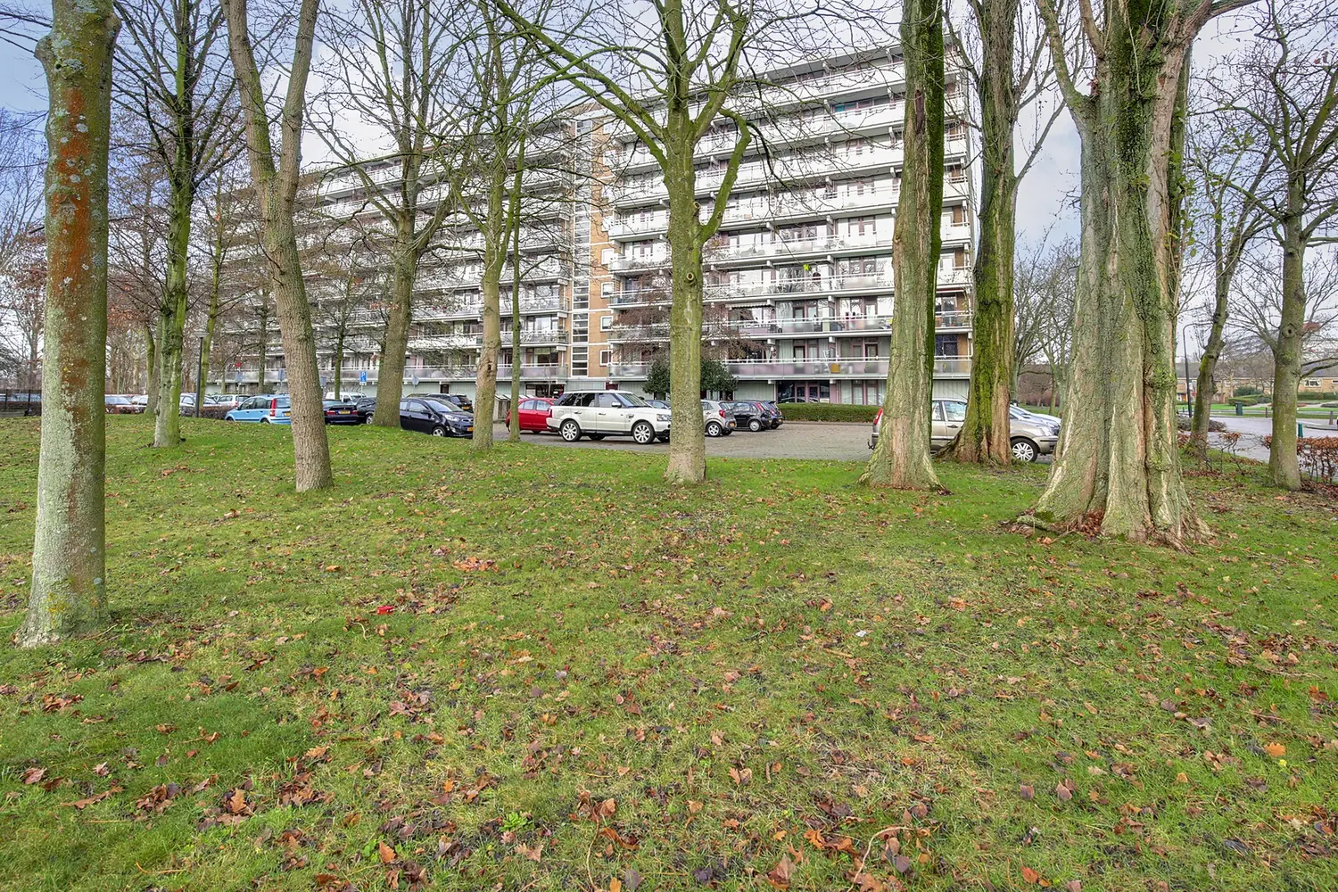 Bild 3 von 17