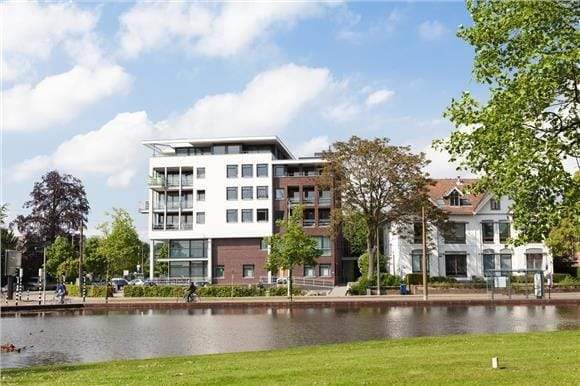 Afbeelding 1 van 12