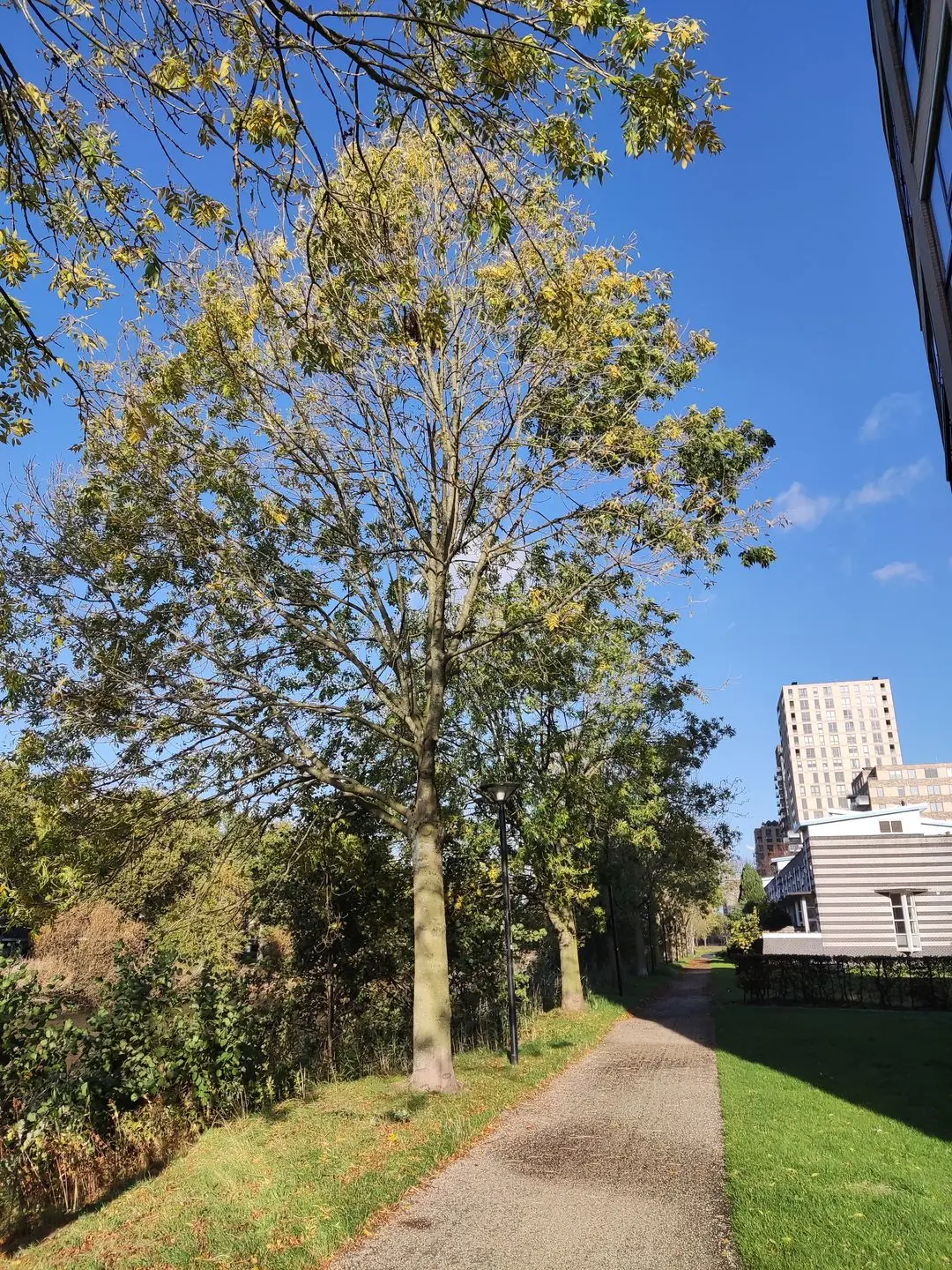 Bild 32 von 33