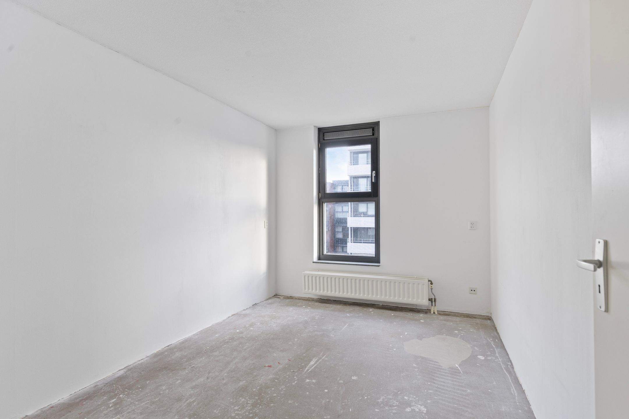 Image 6 of 17