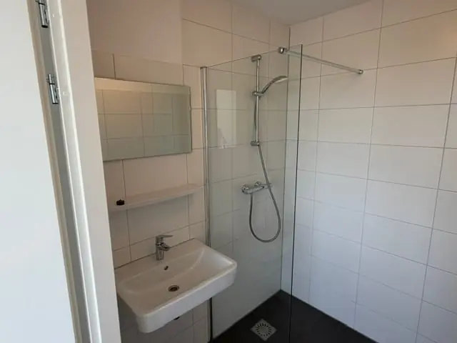 Afbeelding 10 van 15