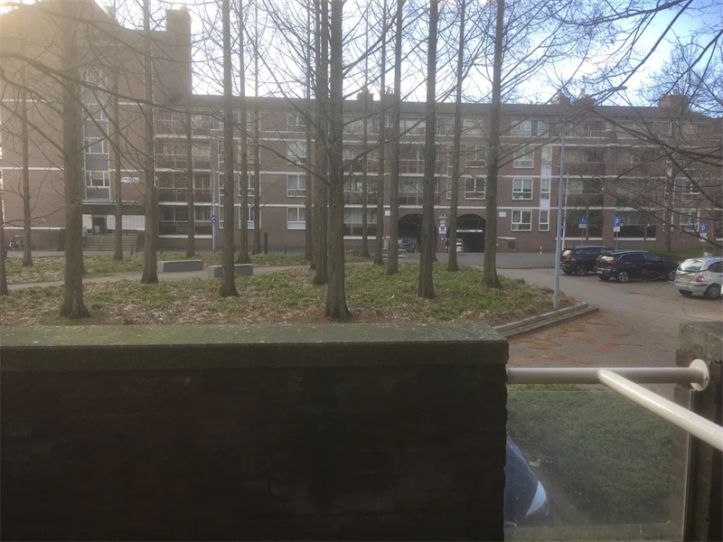 Image 8 of 10