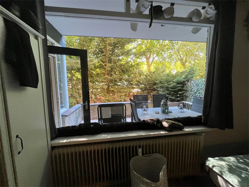 Bild 12 von 14