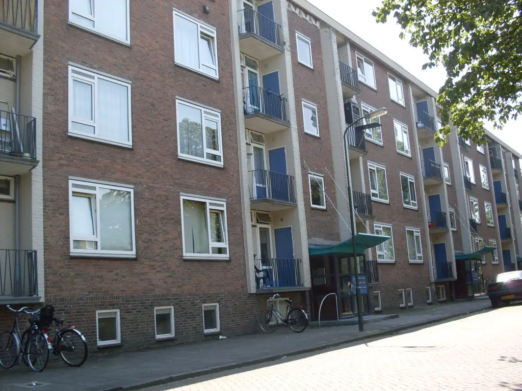 Afbeelding 1 van 1