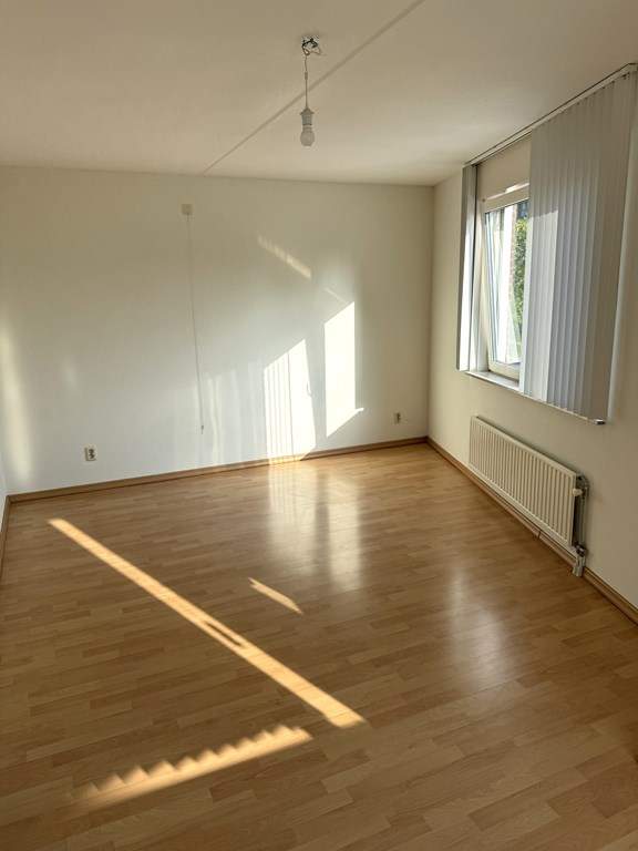 Bild 12 von 24