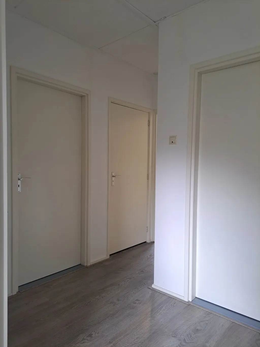 Image 8 of 20