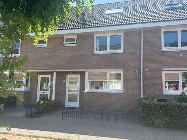 Afbeelding 1 van 43
