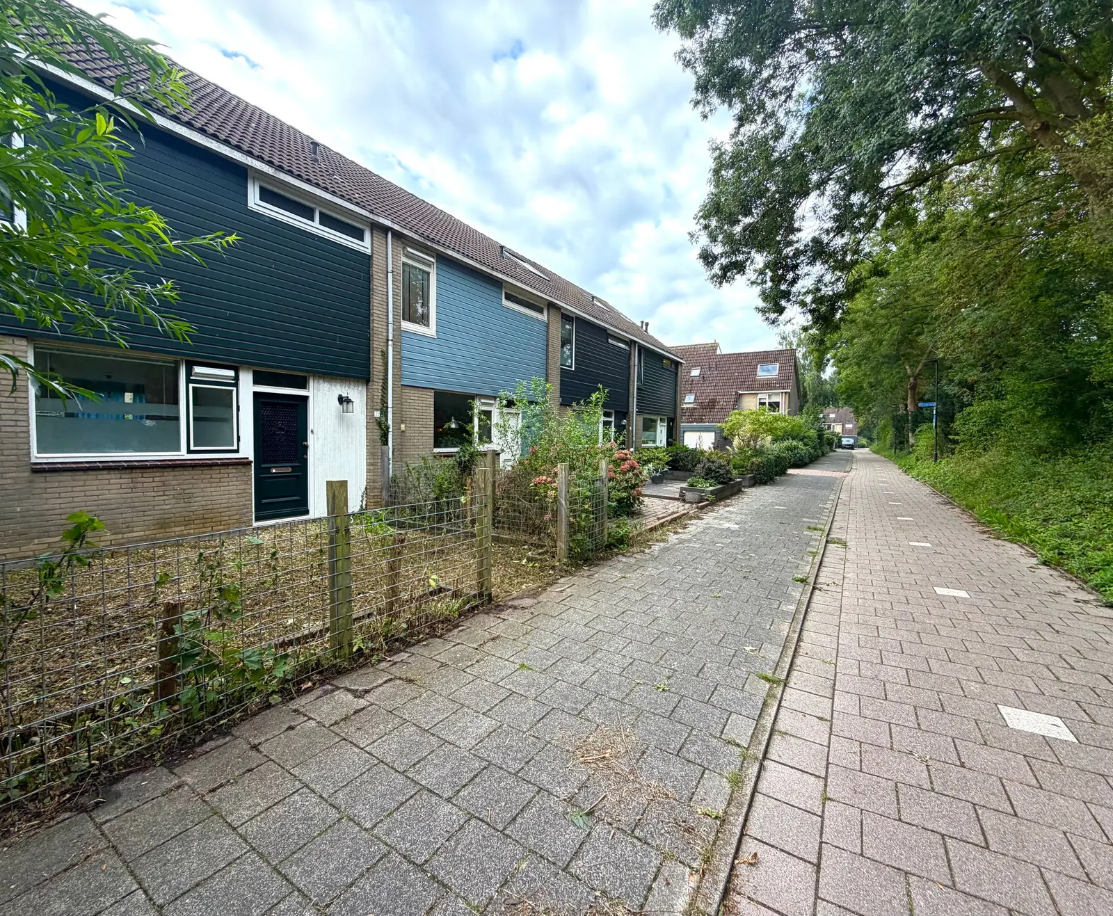 Afbeelding 3 van 29
