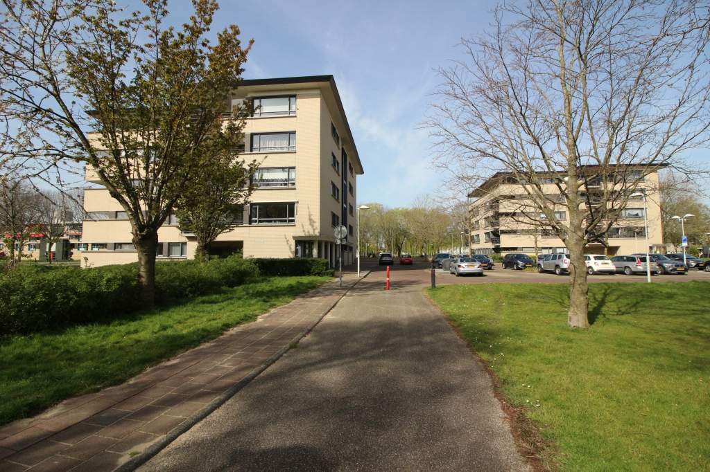 Image 26 of 29