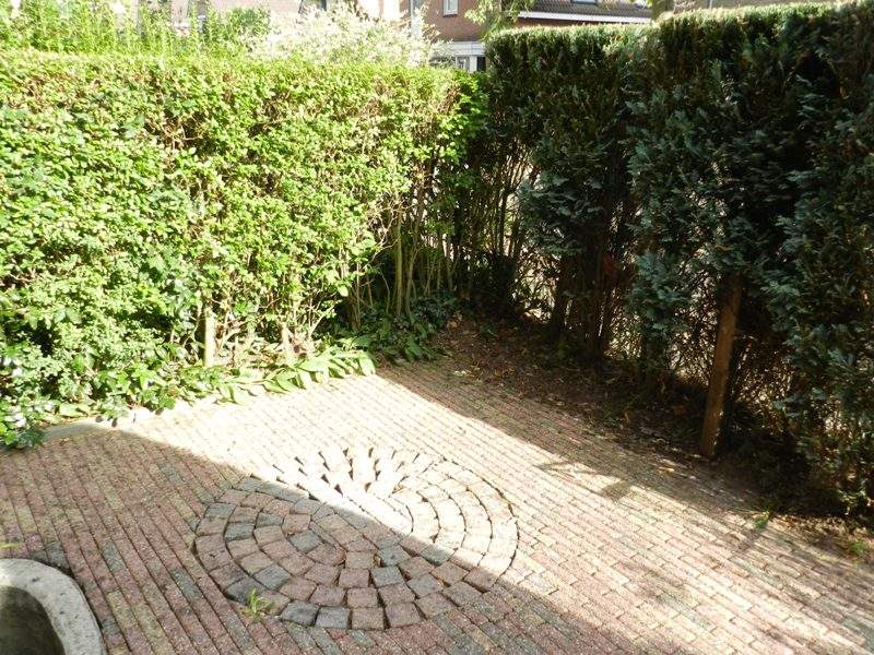 Afbeelding 3 van 17