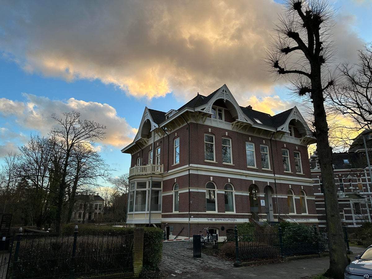 Afbeelding 1 van 14