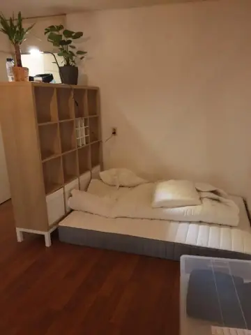 Zimmer Van Limburg Stirumstraat, Den Haag - Zu vermieten