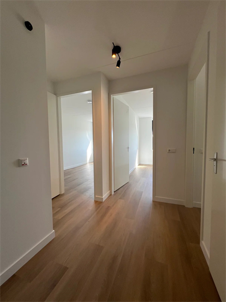 Bild 12 von 25