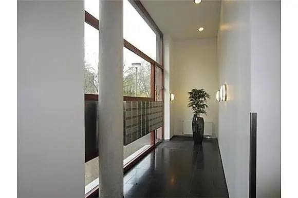 Image 2 of 8