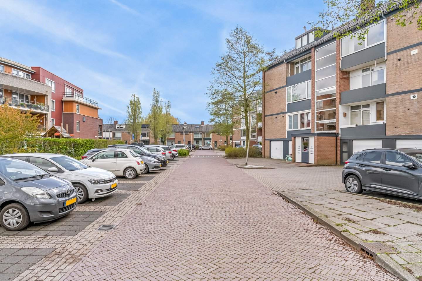 Afbeelding 3 van 12