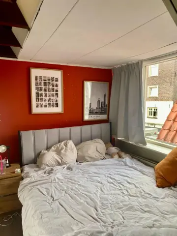 Habitación amueblada Brabantse Turfmarkt, Delft - En alquiler