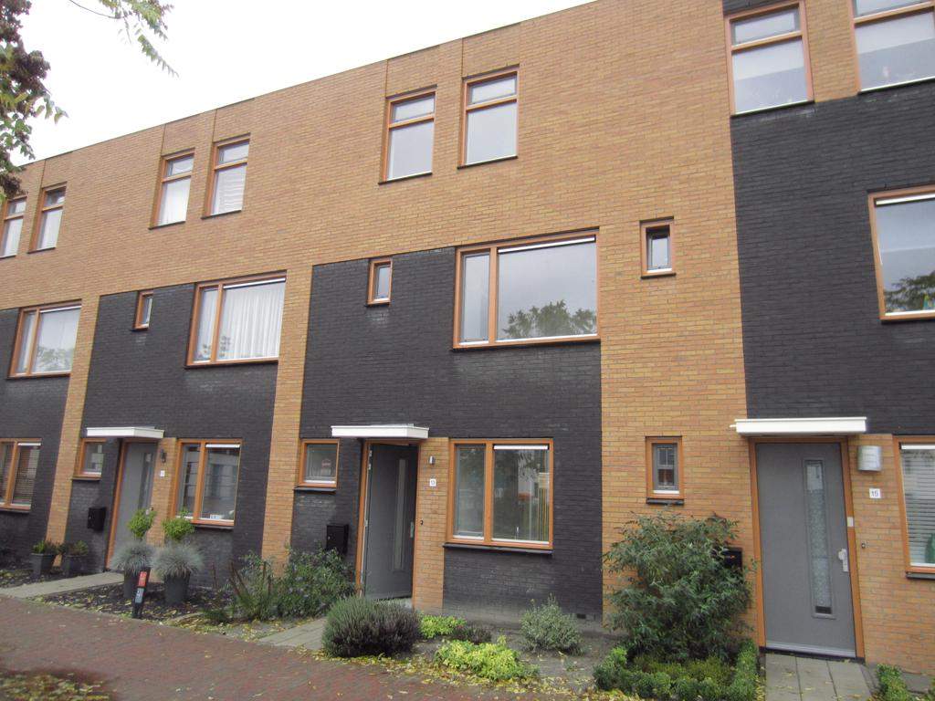 Afbeelding 1 van 12