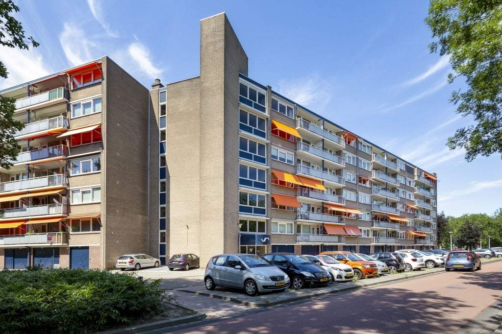 Afbeelding 1 van 14
