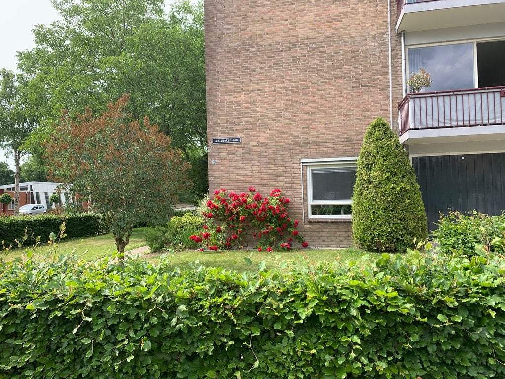 Afbeelding 2 van 14