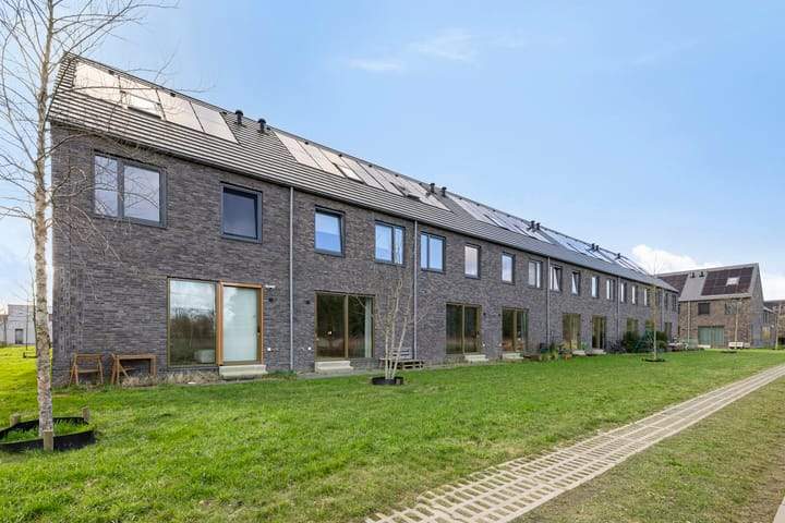 Bild 11 von 16