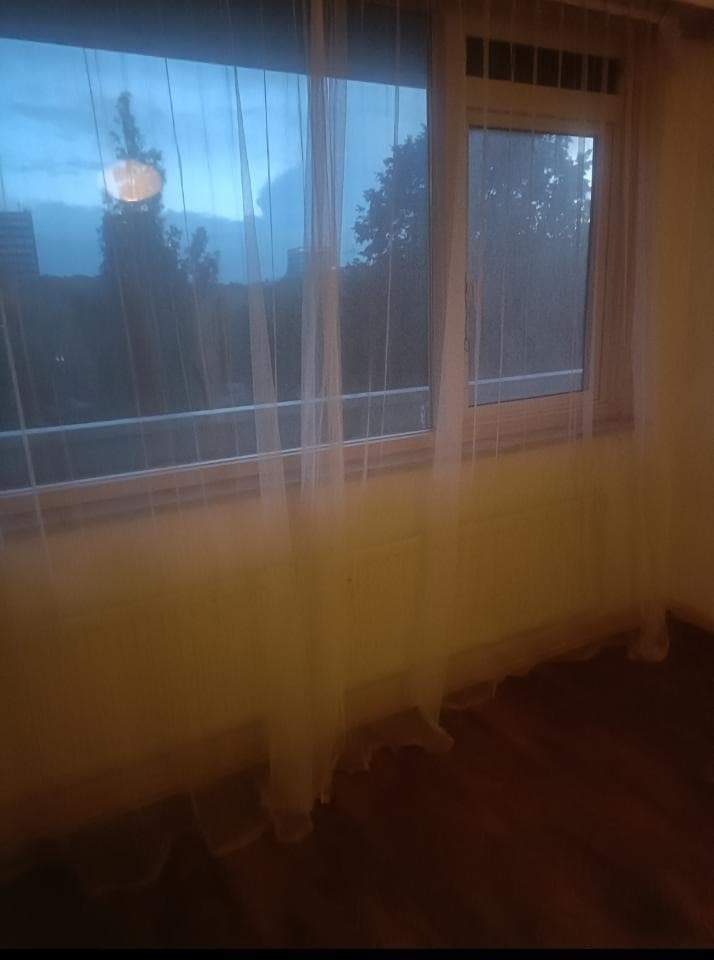 Image 2 of 3