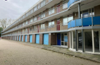 Afbeelding 1 van 1