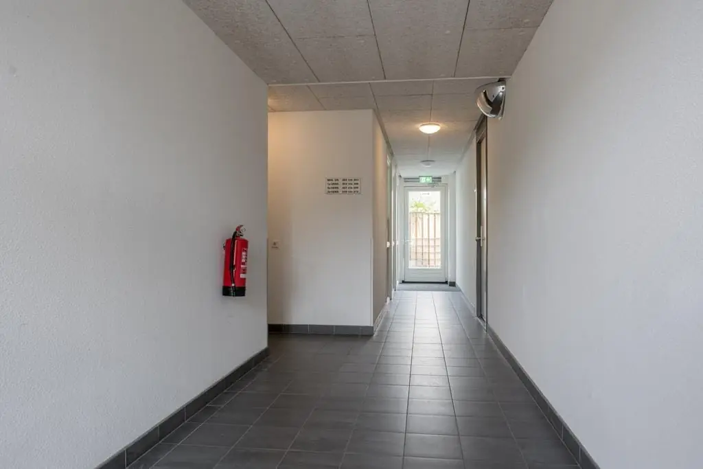 Afbeelding 6 van 24