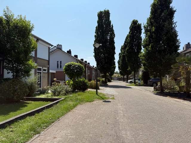 Bild 3 von 3