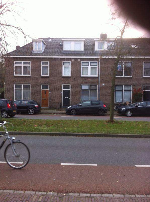 Afbeelding 1 van 9
