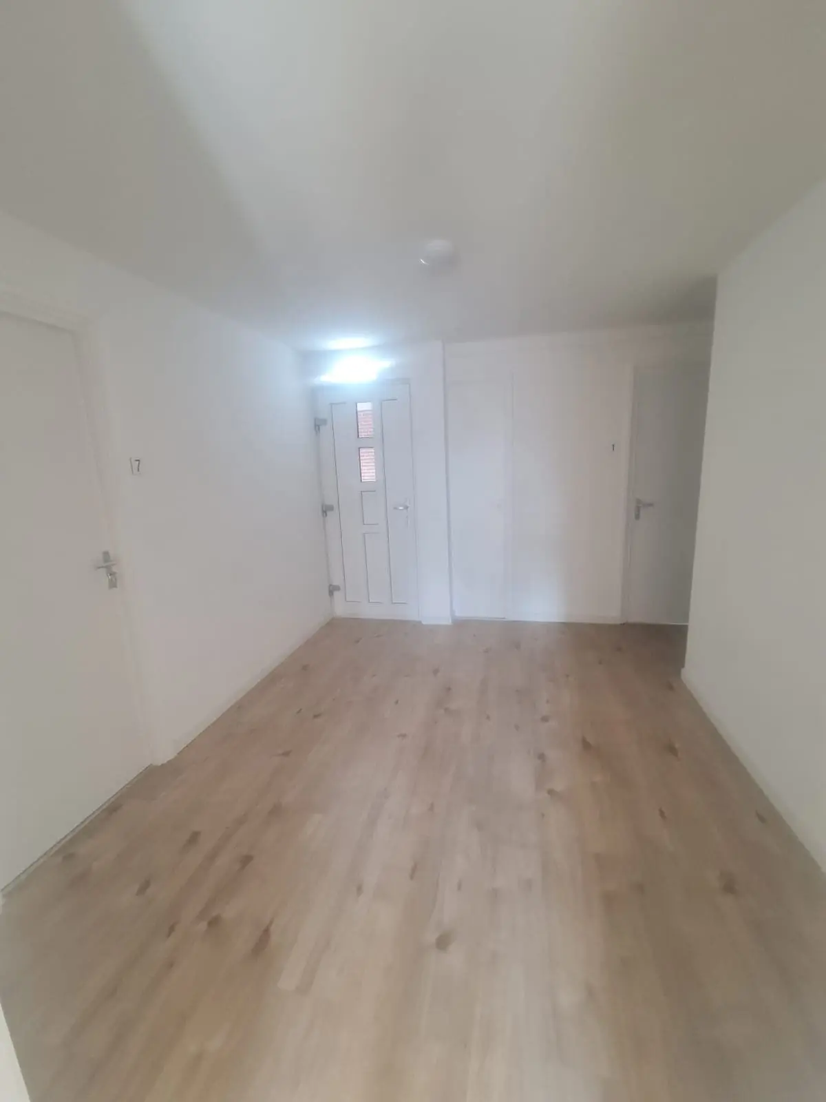 Imagen 5 de 10