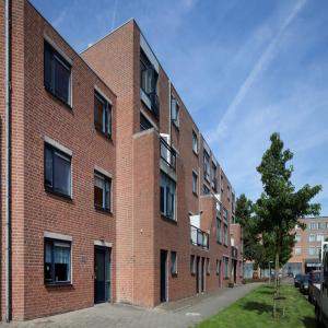 Afbeelding 10 van 13