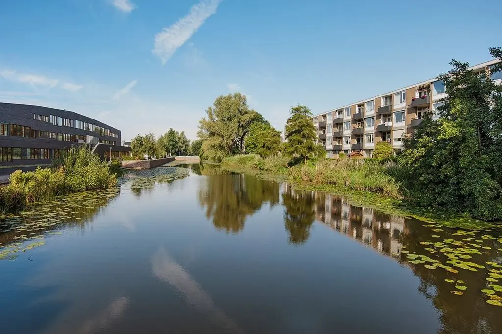 Appartement de 3 pièces Frieslandstraat, Amsterdam - À louer