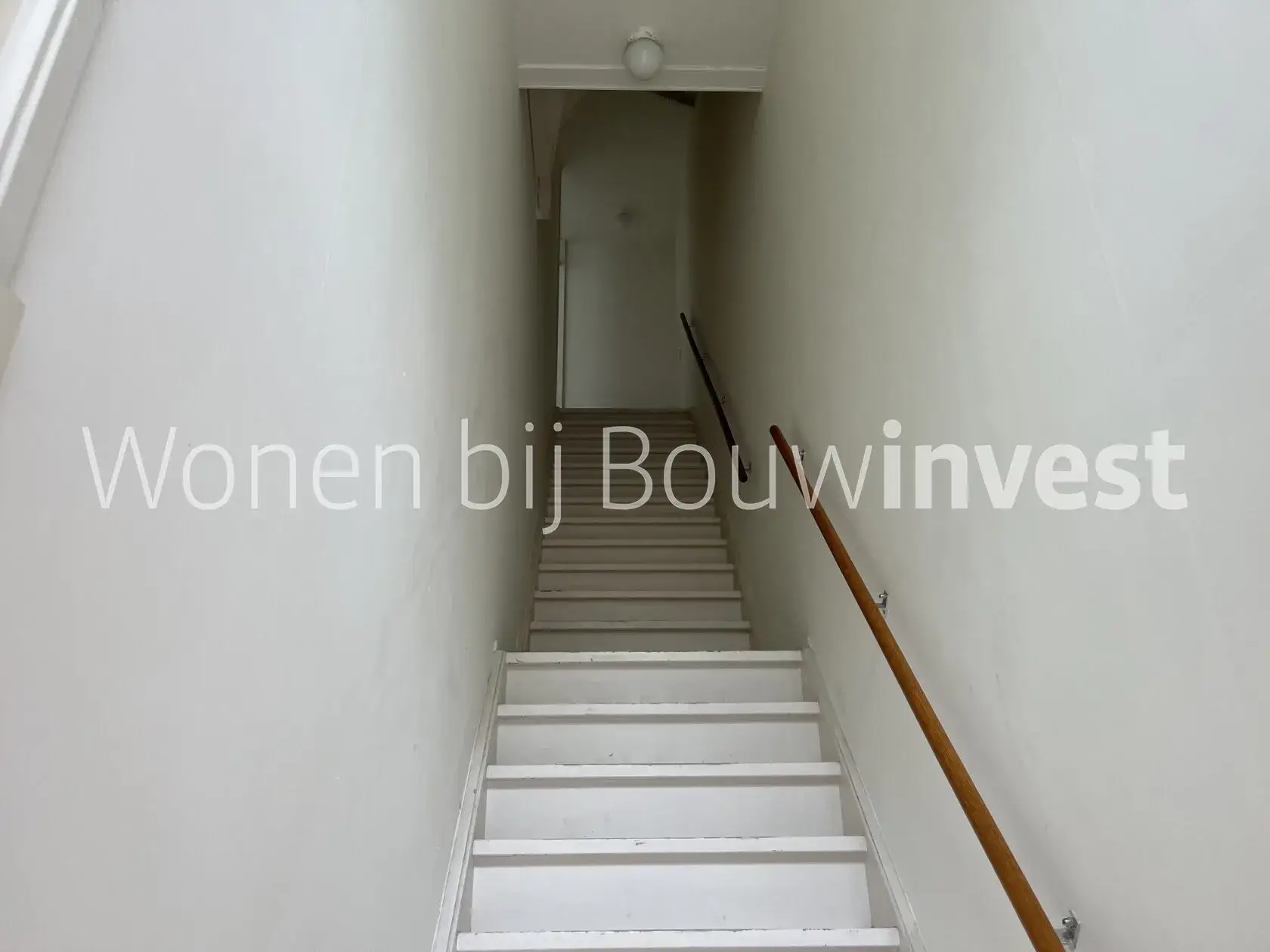 Bild 12 von 12