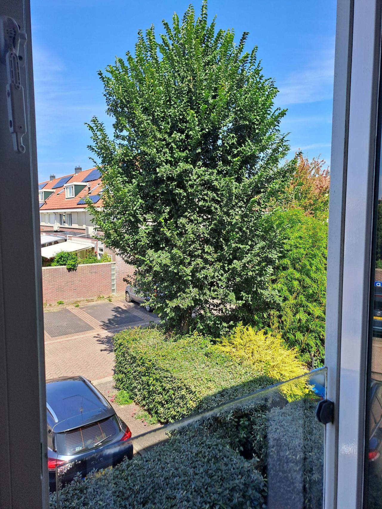 Bild 5 von 9
