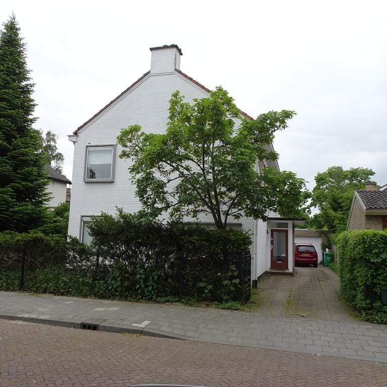 Afbeelding 1 van 12